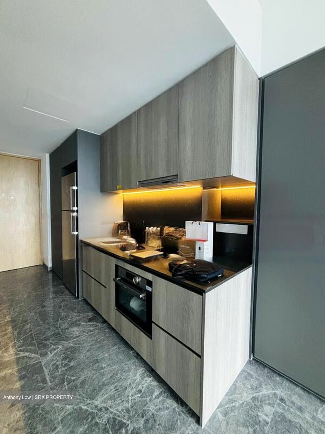 One Holland Village Residences (D10), Apartment #485208121